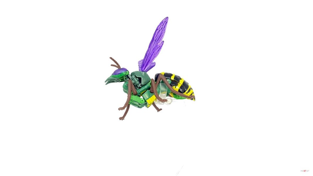 Transformers Kingdom Deluxe Class Waspinator  (23 of 28)